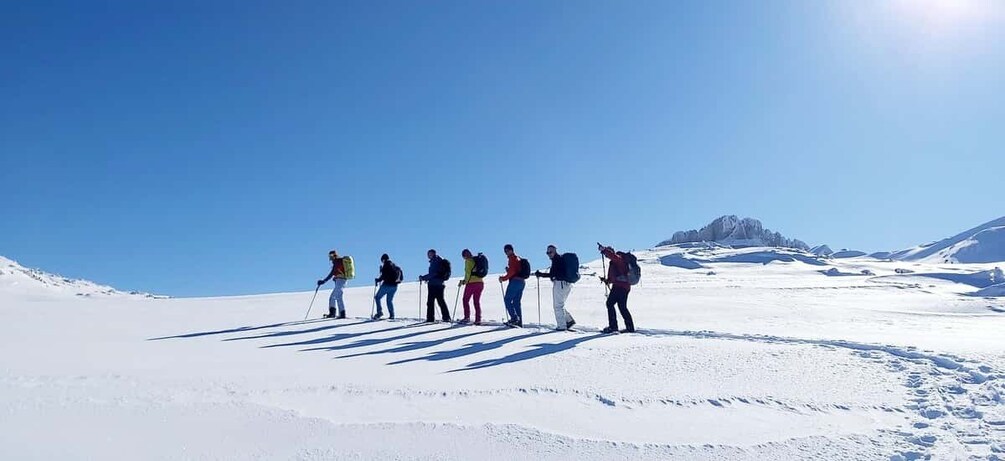 Picture 1 for Activity Snowschoe tour Ifen/Gottesacker Allgäu Kleinwalsertal