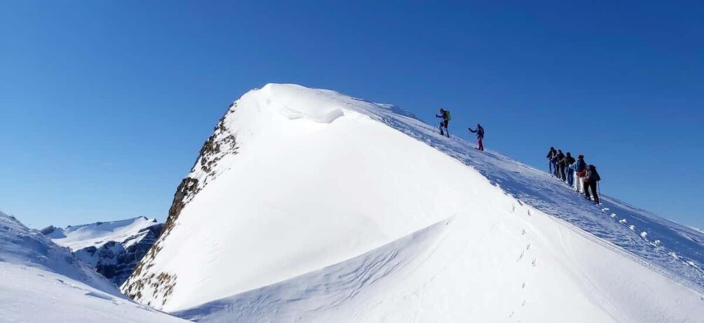 Picture 4 for Activity Snowschoe tour Ifen/Gottesacker Allgäu Kleinwalsertal