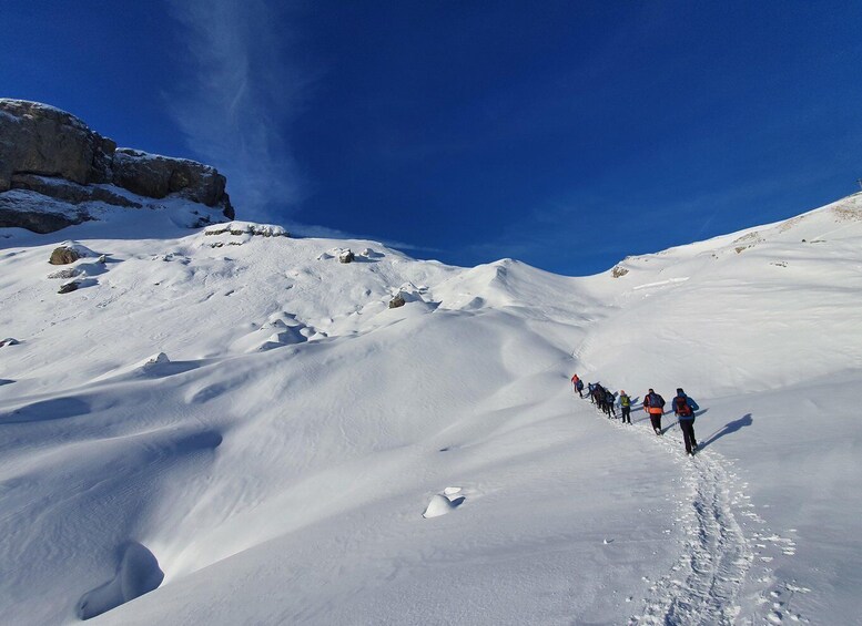 Picture 5 for Activity Snowschoe tour Ifen/Gottesacker Allgäu Kleinwalsertal