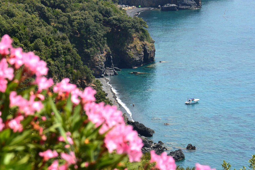 Picture 5 for Activity Maratea: Private Mount Biagio Tour