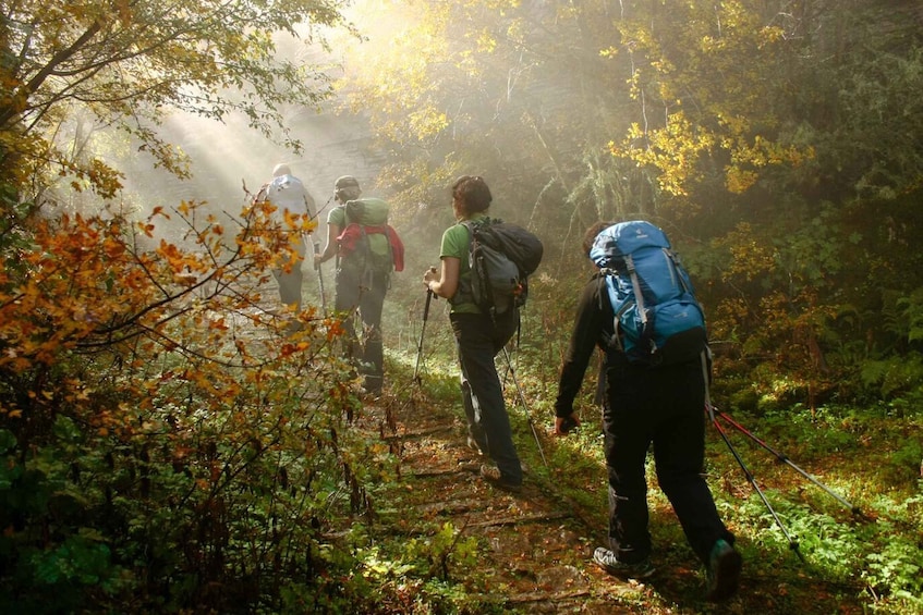 Meteora: Easy Hiking Adventure