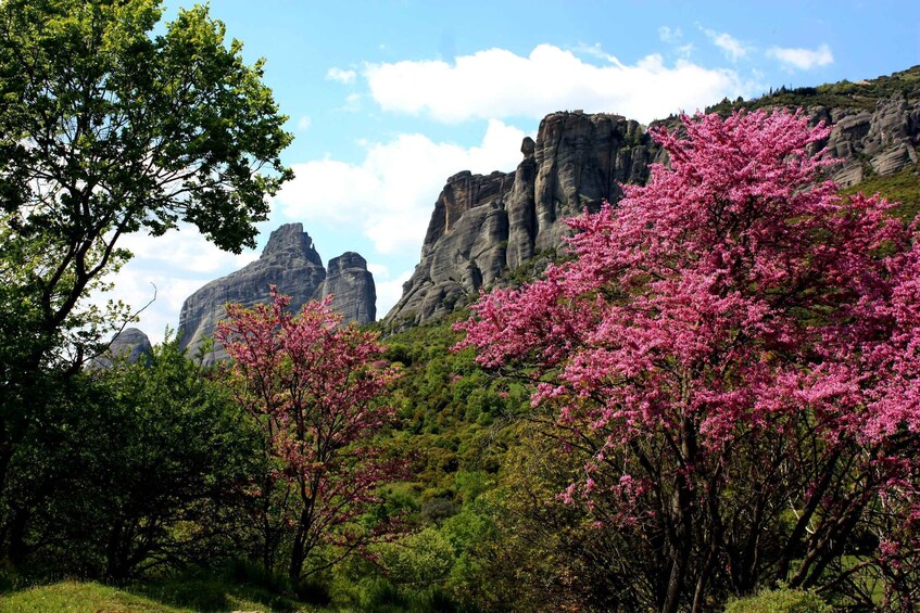 Picture 5 for Activity Meteora: Easy Hiking Adventure