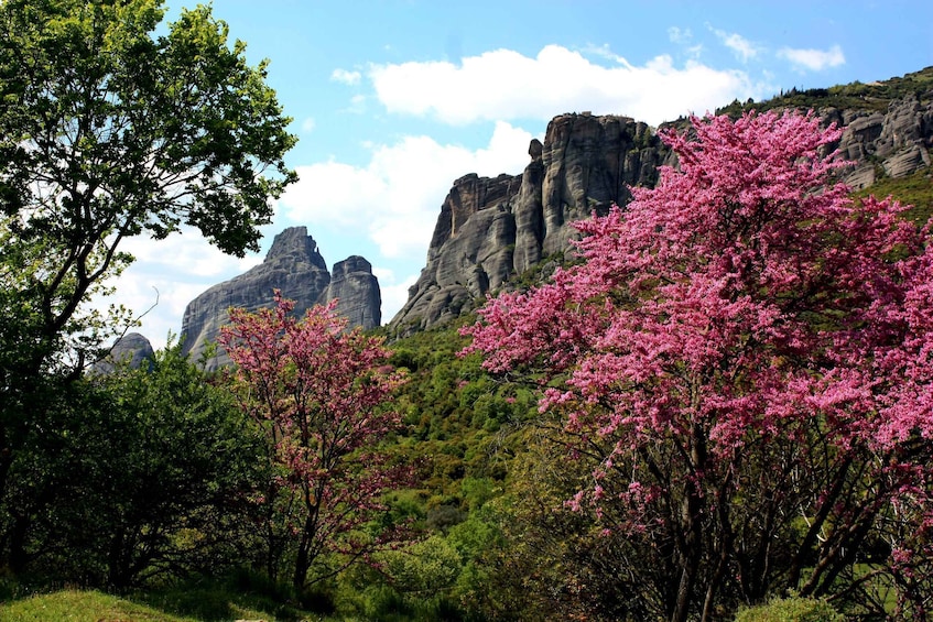 Picture 5 for Activity Meteora: Easy Hiking Adventure