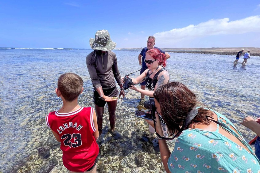 Picture 4 for Activity Sal Discovery: A Guided Small Group Island Tour