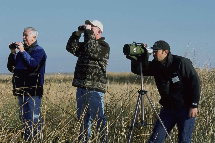 Picture 1 for Activity Bali: Bird Watching Tour in Ubud Countryside with Transfer
