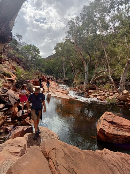 Picture 23 for Activity 3, 4+ Day Red Centre - Alice-Uluru-Kings Canyon-West Macs