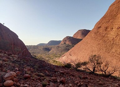 3, 4+ Day Red Centre - Alice-Uluru-Kings Canyon-West Macs