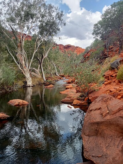 Picture 22 for Activity 3, 4+ Day Red Centre - Alice-Uluru-Kings Canyon-West Macs