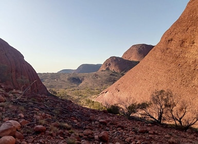 3, 4+ Day Red Centre - Alice-Uluru-Kings Canyon-West Macs