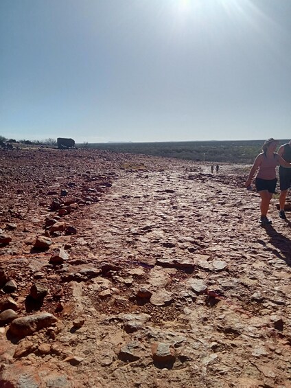 Picture 9 for Activity 3, 4+ Day Red Centre - Alice-Uluru-Kings Canyon-West Macs