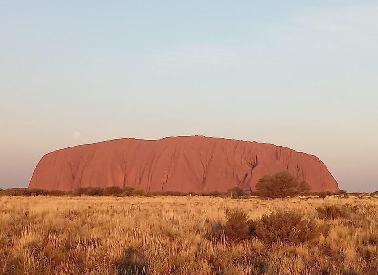 Picture 1 for Activity 3, 4+ Day Red Centre - Alice-Uluru-Kings Canyon-West Macs