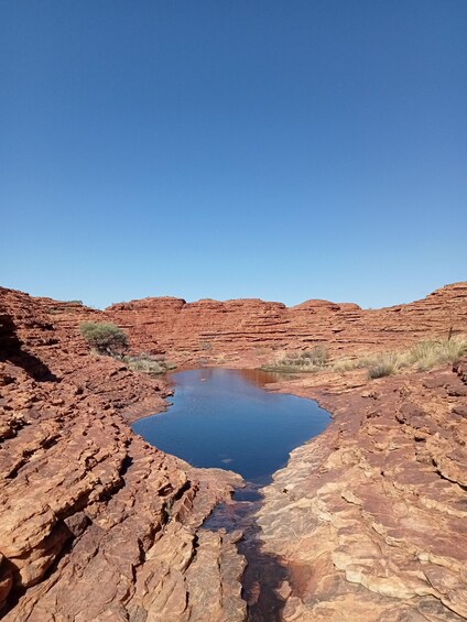 Picture 26 for Activity 3, 4+ Day Red Centre - Alice-Uluru-Kings Canyon-West Macs