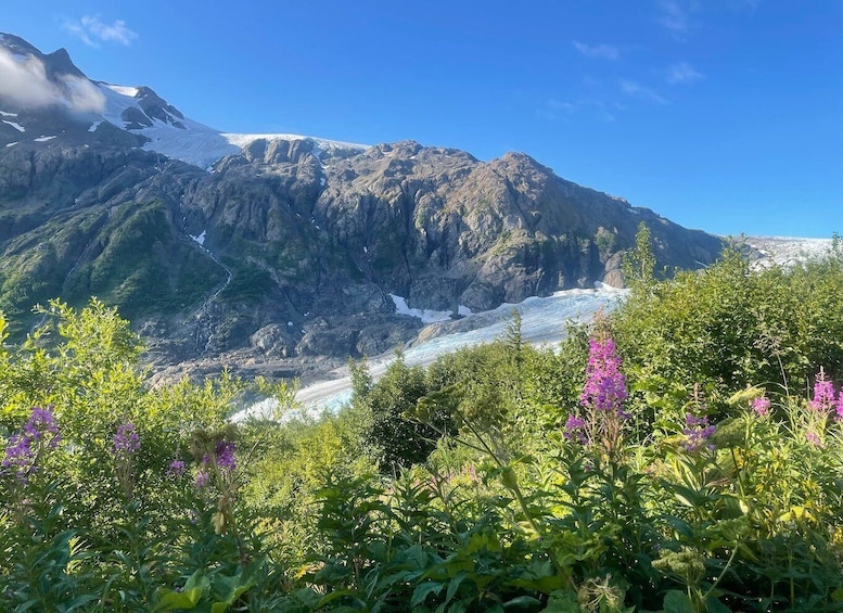 Picture 11 for Activity From Seward: Harding Icefield Trail Hiking Tour