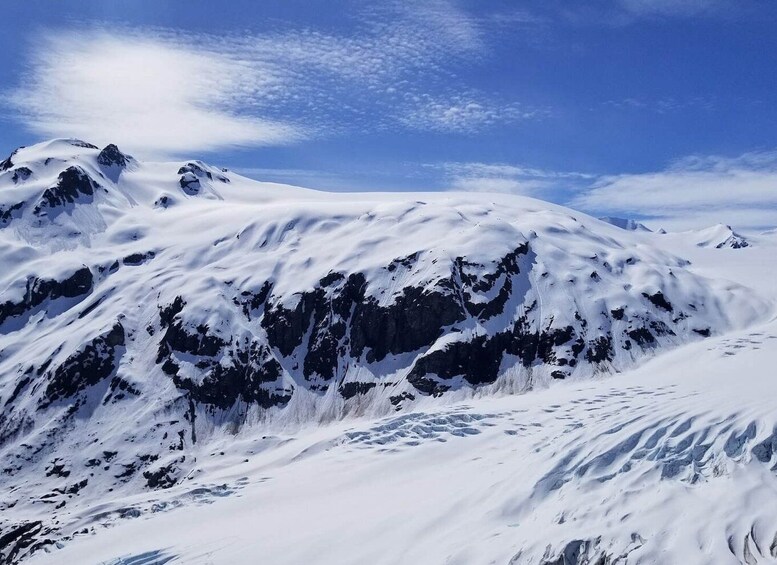 Picture 8 for Activity From Seward: Harding Icefield Trail Hiking Tour