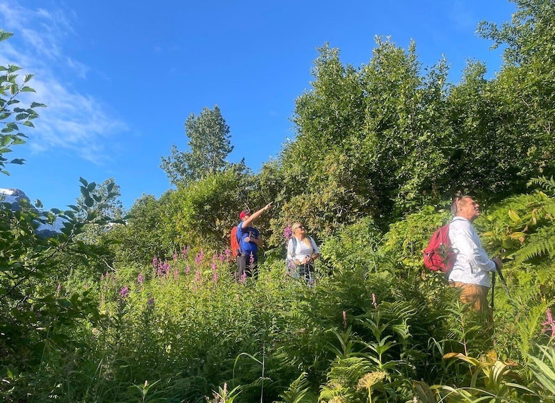 Picture 12 for Activity From Seward: Harding Icefield Trail Hiking Tour