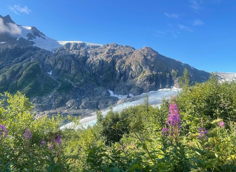 Picture 11 for Activity From Seward: Harding Icefield Trail Hiking Tour