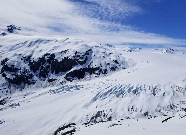 Picture 10 for Activity From Seward: Harding Icefield Trail Hiking Tour