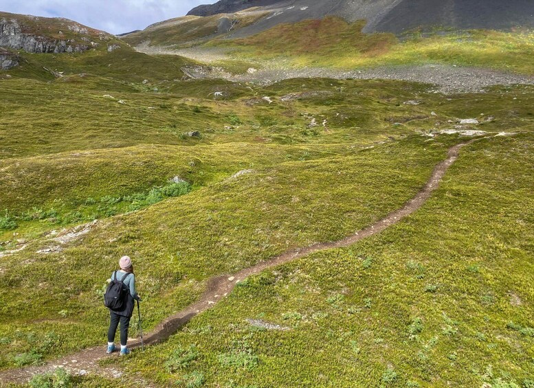 Picture 15 for Activity From Seward: Harding Icefield Trail Hiking Tour