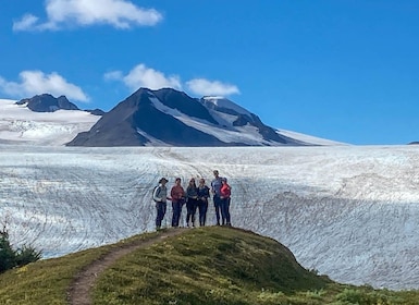 From Seward: Harding Icefield Trail Hiking Tour