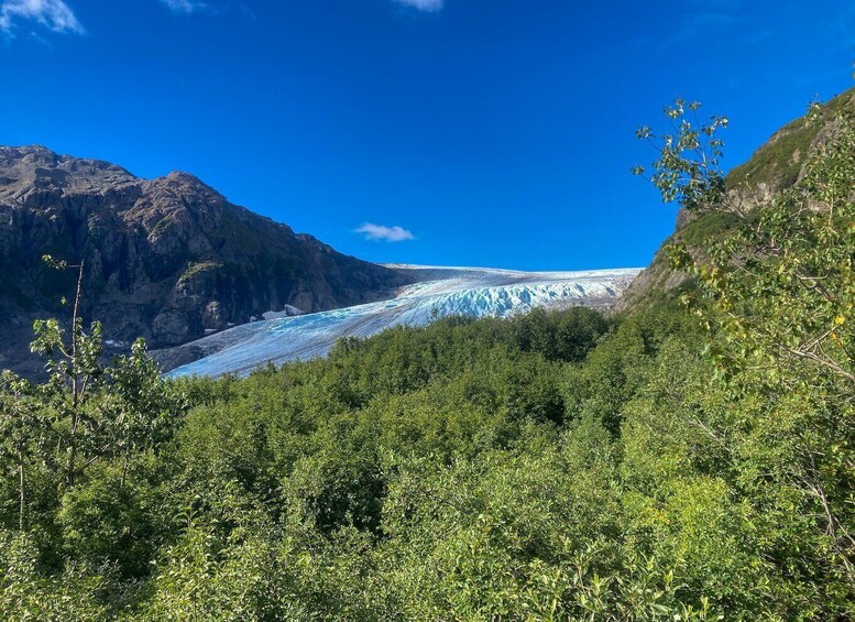 Picture 7 for Activity From Seward: Harding Icefield Trail Hiking Tour