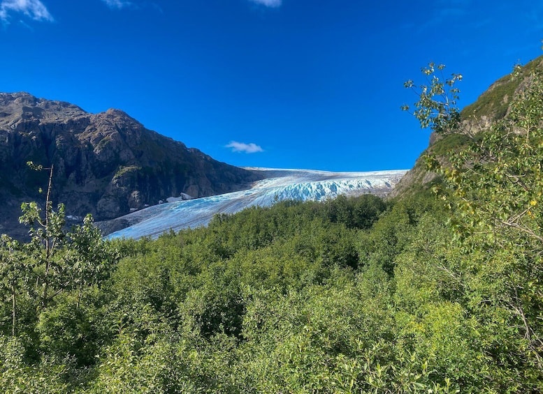 Picture 7 for Activity From Seward: Harding Icefield Trail Hiking Tour