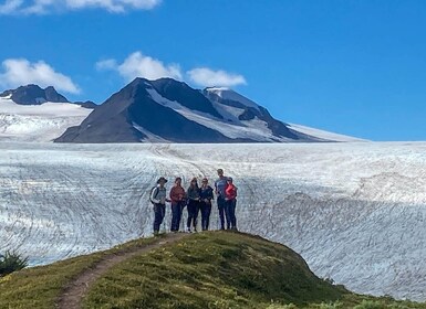 From Seward: Harding Icefield Trail Hiking Tour