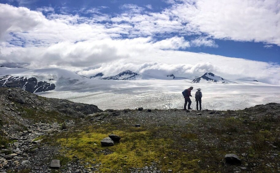Picture 4 for Activity From Seward: Harding Icefield Trail Hiking Tour