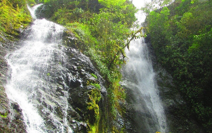 Picture 4 for Activity Guayaquil: Biking waterfalls route Full-Day tour
