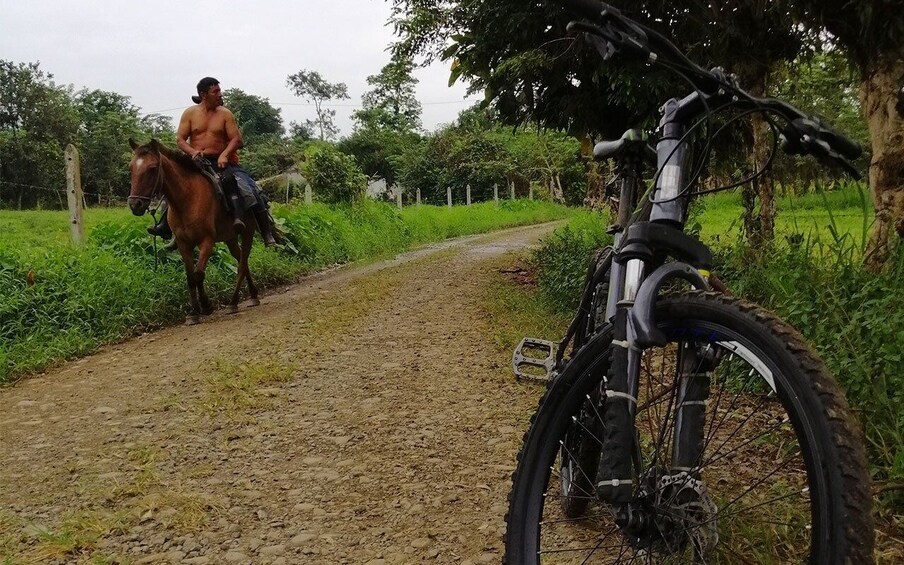 Picture 3 for Activity Guayaquil: Biking waterfalls route Full-Day tour