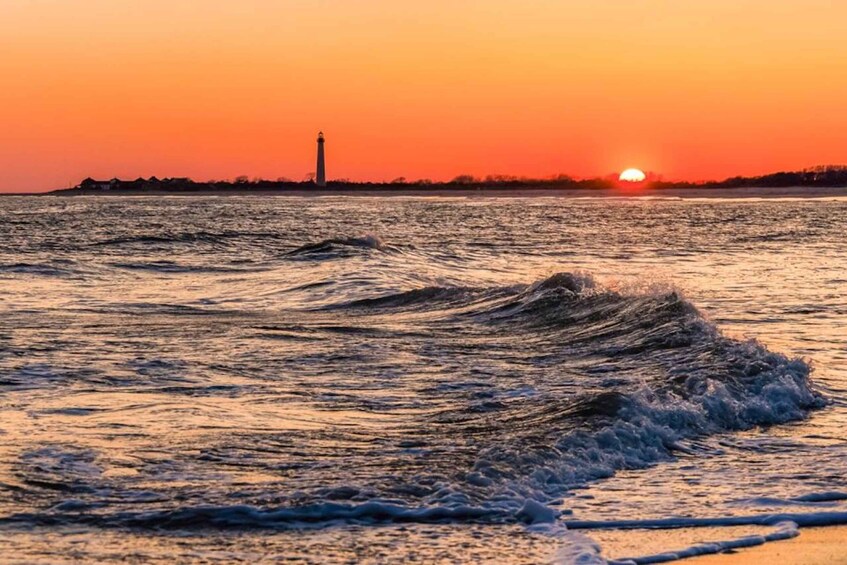 Cape May: Sunset Dolphin Cruise with Optional Wine Tastings