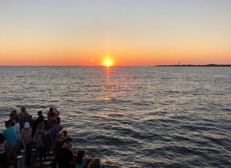 Picture 3 for Activity Cape May: Sunset Dolphin Cruise with Optional Wine Tastings