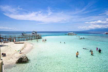 Oslob Whale Shark Snorkeling & Island hopping to Sumilon