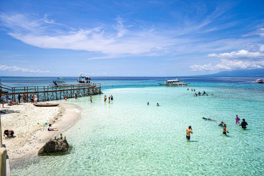 Oslob Whale Shark Snorkeling & Island hopping to Sumilon