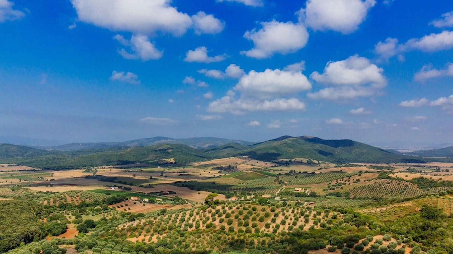 Civitavecchia: Tuscany Full-Day Guided Trip w/Wine Tasting