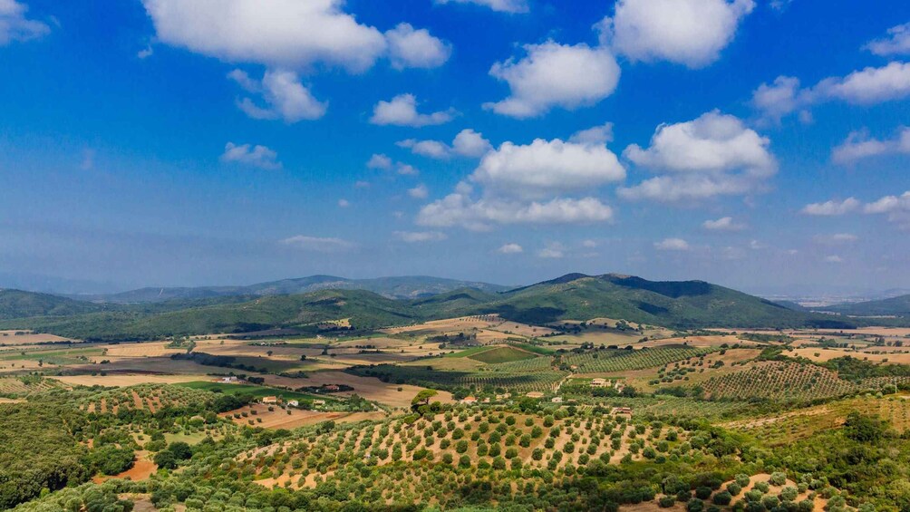 Civitavecchia: Tuscany Full-Day Guided Trip w/Wine Tasting