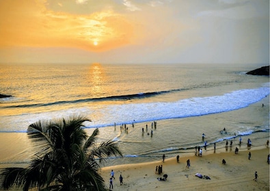 Trivandrum Night Walk (2 Hours Guided Walking Tour)