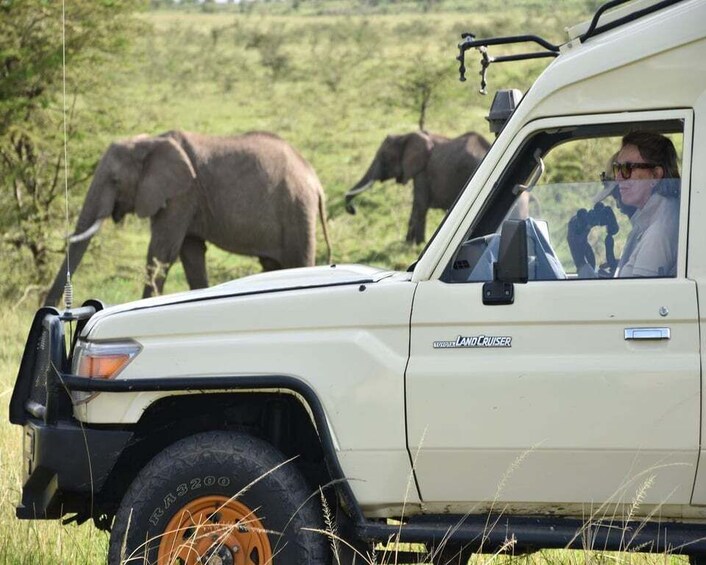 Picture 2 for Activity Out Of Africa Safari Masai Mara Conservancy