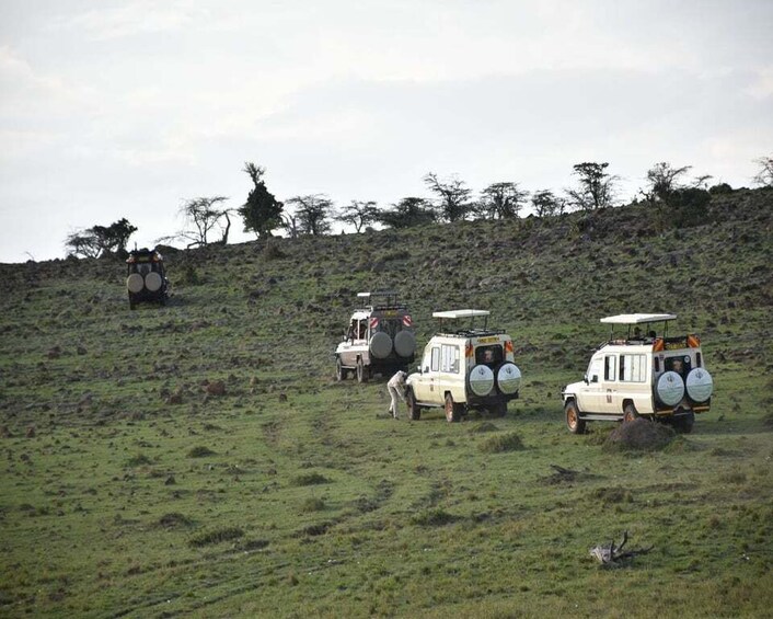 Picture 3 for Activity Out Of Africa Safari Masai Mara Conservancy