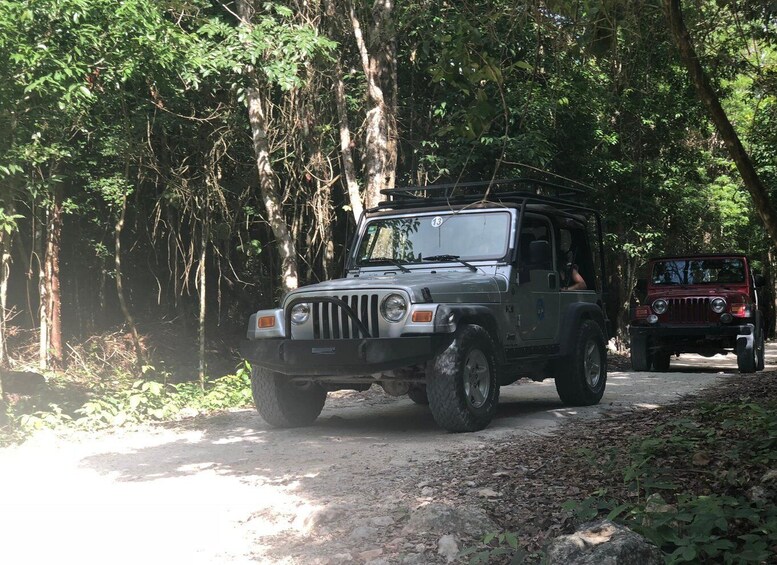 Cozumel: Mayan Jungle Jeep Ride to Jade Caverns and Snorkel