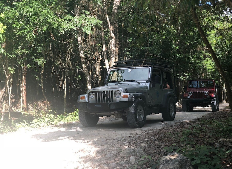 Cozumel: Mayan Jungle Jeep Ride to Jade Caverns and Snorkel