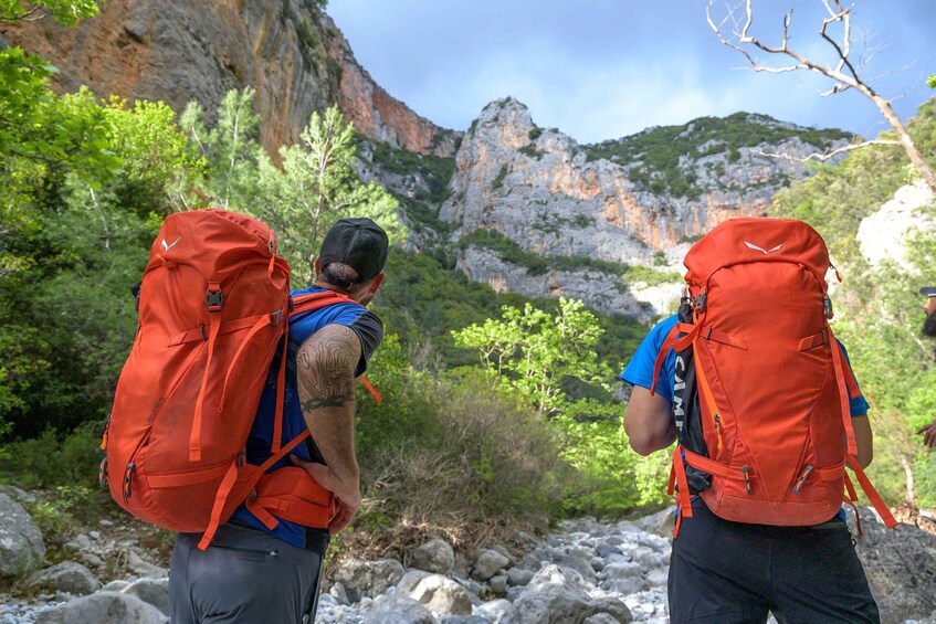 Picture 4 for Activity From Kalamata: Mount Taygetos Guided Hiking Day Trip