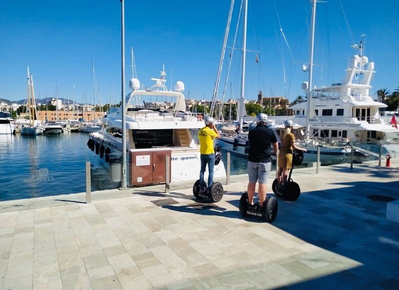 Picture 2 for Activity Palma: 165-Minute Segway Tour with Hard Rock Cafe Visit