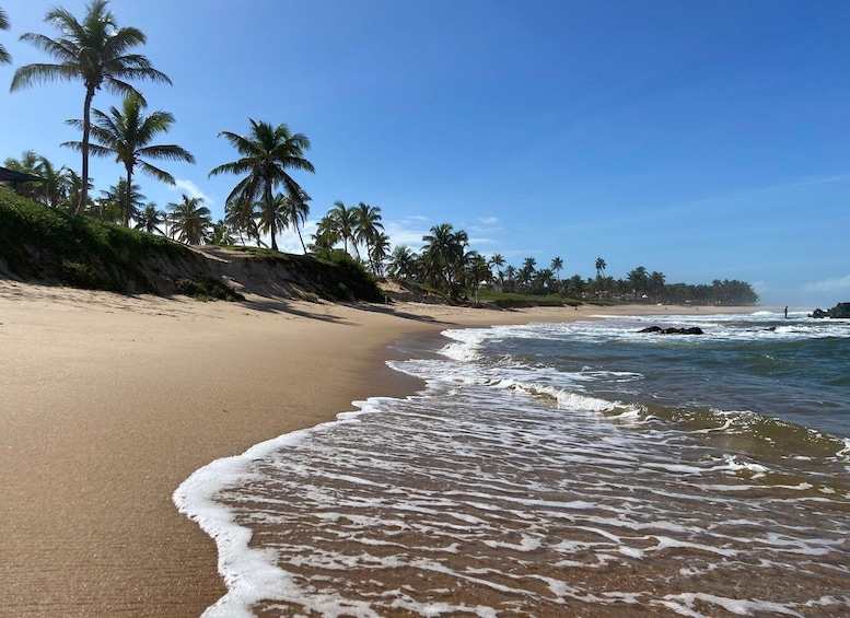 Picture 4 for Activity Salvador: Dos Frades & Itaparica Islands Full-Day Boat Tour