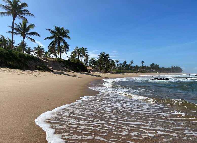 Picture 4 for Activity Salvador: Dos Frades & Itaparica Islands Full-Day Boat Tour