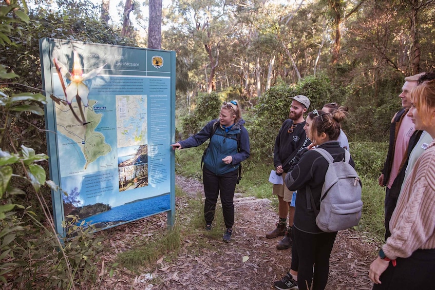 Picture 6 for Activity Lake Macquarie: Cruise and Guided Nature Walk with Lunch