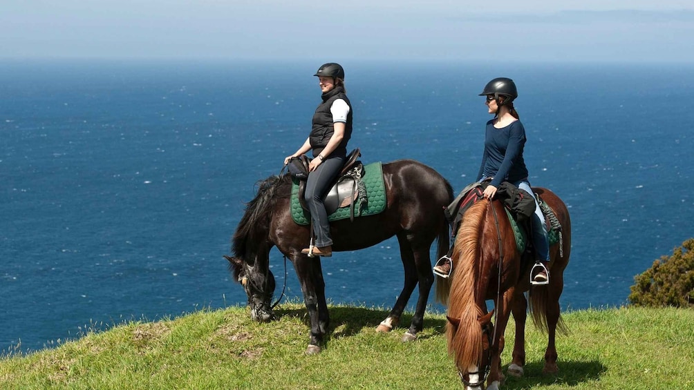 Picture 2 for Activity Faial Island: Horseback Riding (3 hrs - Experienced Riders)