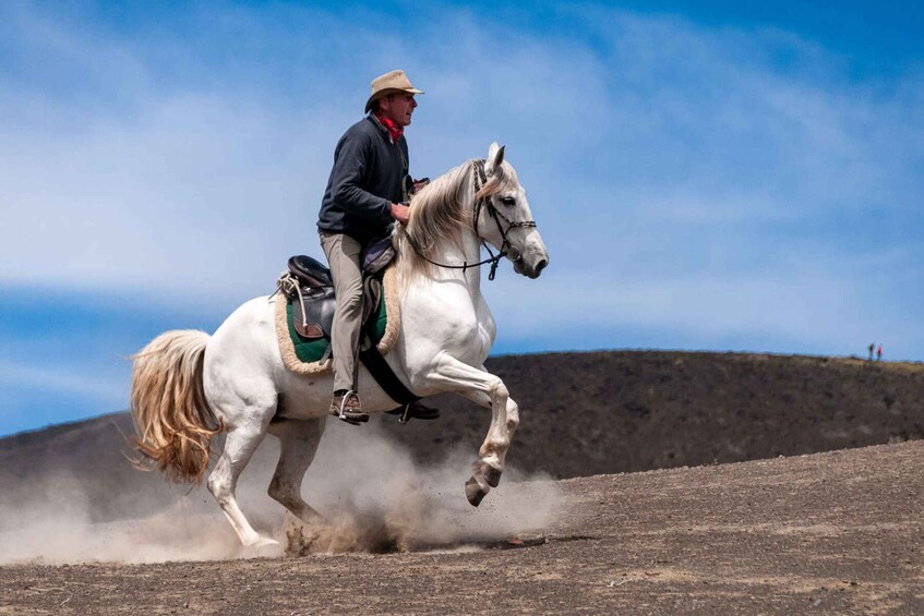 Picture 1 for Activity Faial Island: Horseback Riding (3 hrs - Experienced Riders)