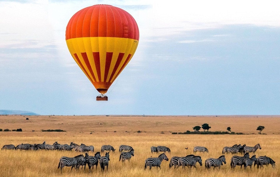 3-Days Masai Mara Camping Combined with Hot Air Balloon Ride