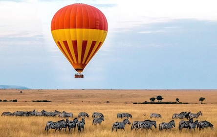 3-Days Maasai Mara Camping Combined with Hot Air Balloon Ride