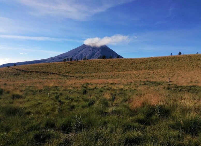 Picture 9 for Activity Mexico City: Guided Volcano Trek with Lunch